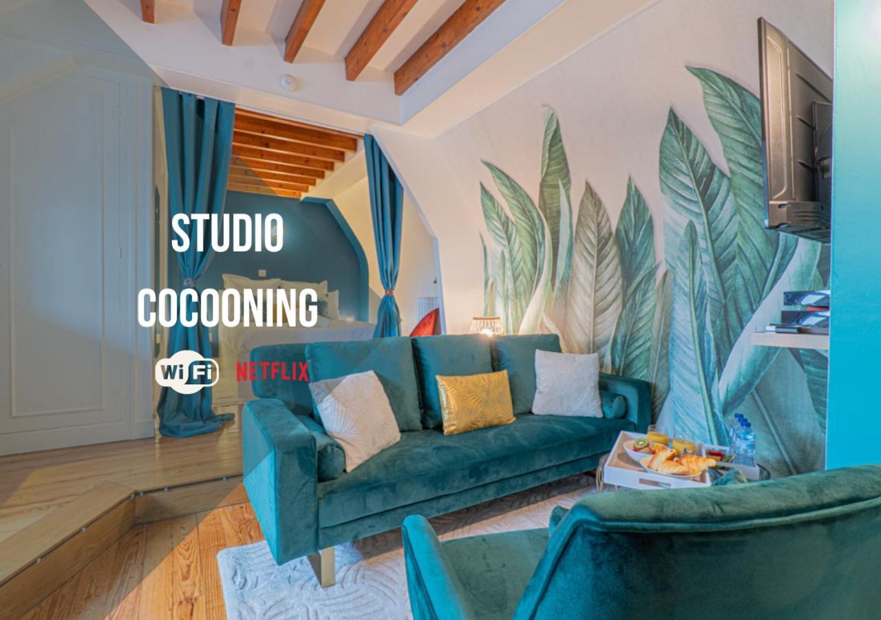 Apartamento Le Cocon De La Cathedrale - Hypercentre - Jungle Chic - Vue Sur L'iton Et Cathedrale *